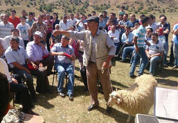 Senlikler-devam-ediyor-2