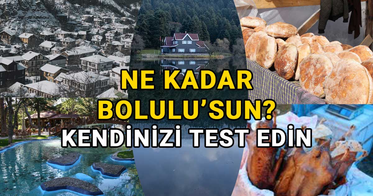 Ne-kadar-Bolulusun-test