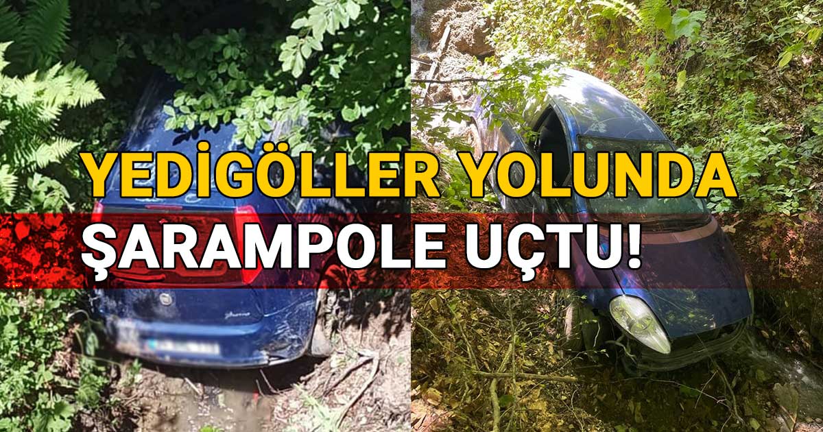 Yedigoller-yolunda-sarampole-uctu