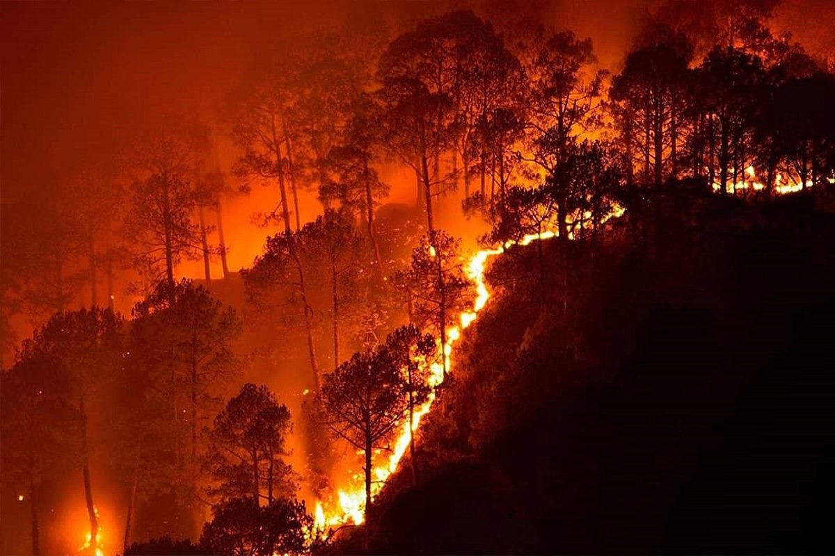1200px Bandipur fires 2019