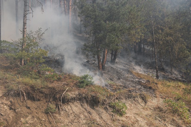 Bolu'da orman yangını alanlarındaki soğutma çalışması sürüyor