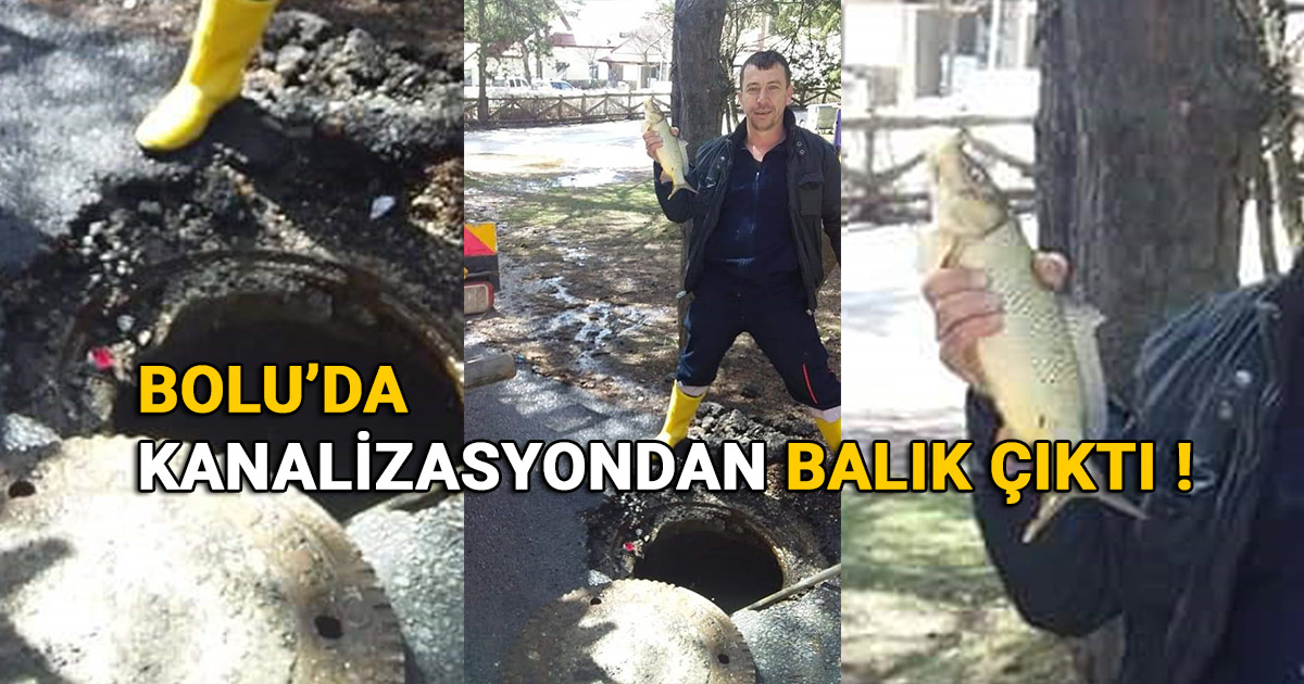 Bolu'da kanalizasyondan balık çıktı