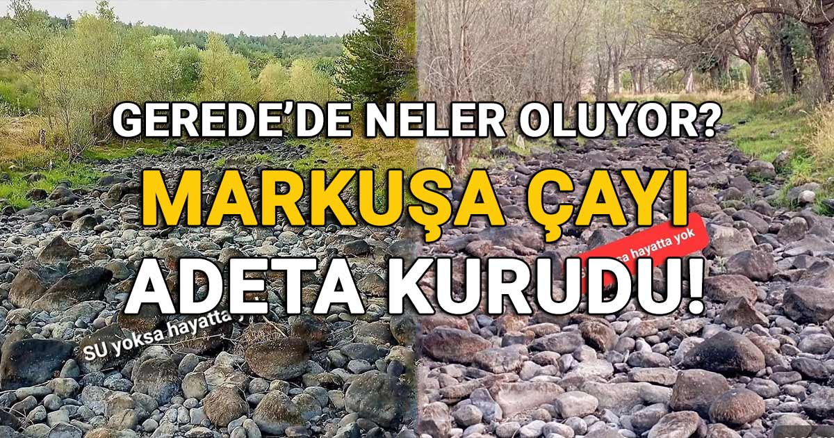 Gerede markusa cayi adeta kurudu 1