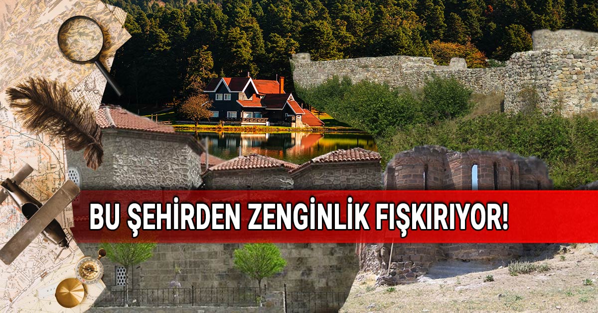 Definecilerin yeni gözdesi: Bolu'da define aramak