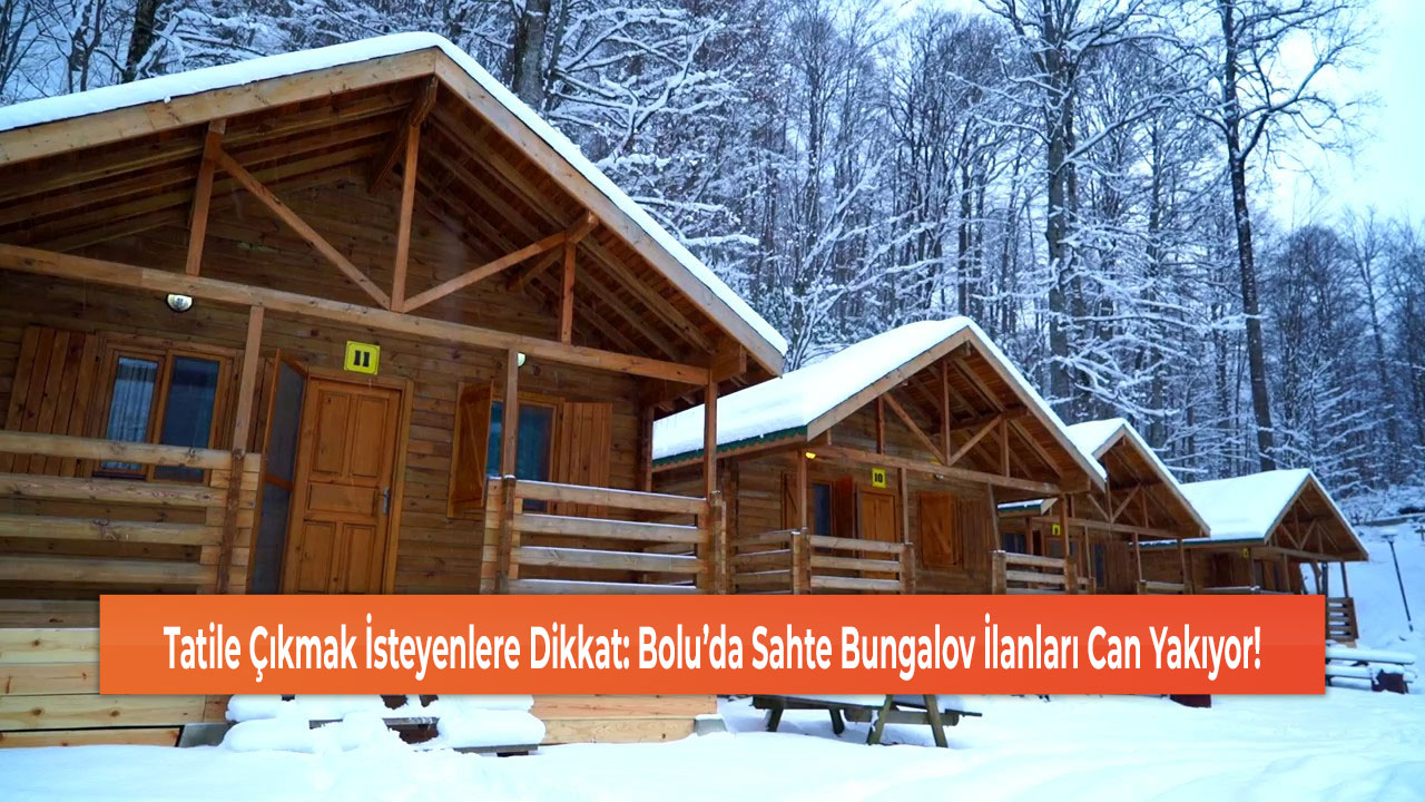 Tatile Çıkmak İsteyenlere Dikkat: Bolu’da Sahte Bungalov İlanları Can Yakıyor!