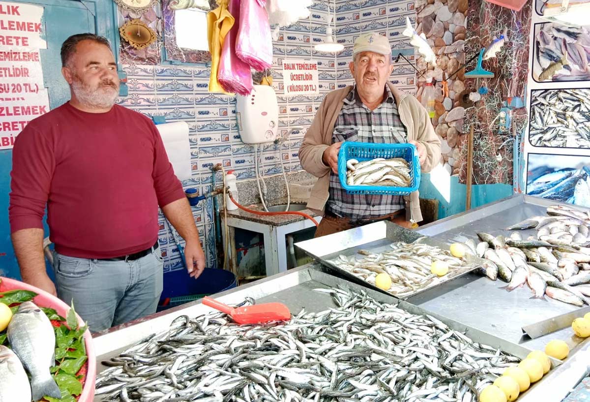 Gerede balık pazarında son durum: En güncel balık fiyatları