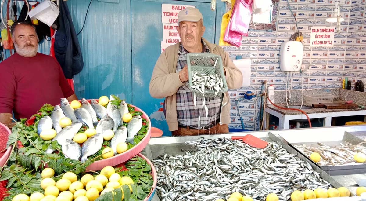 Gerede balık pazarında son durum: En güncel balık fiyatları