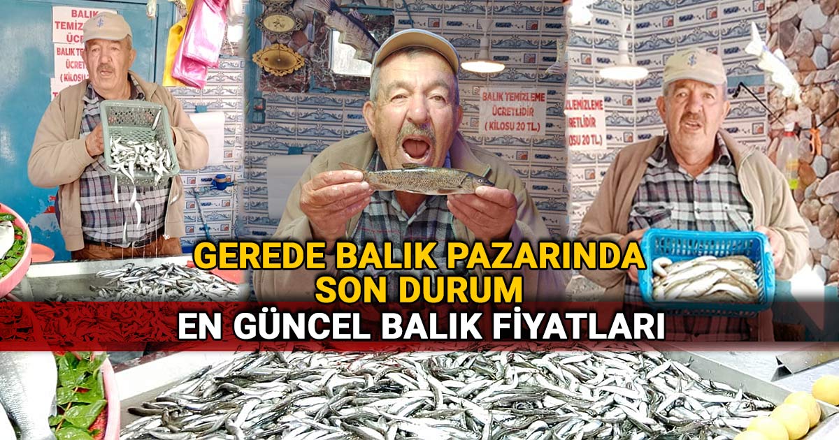 Gerede balık pazarında son durum: En güncel balık fiyatları