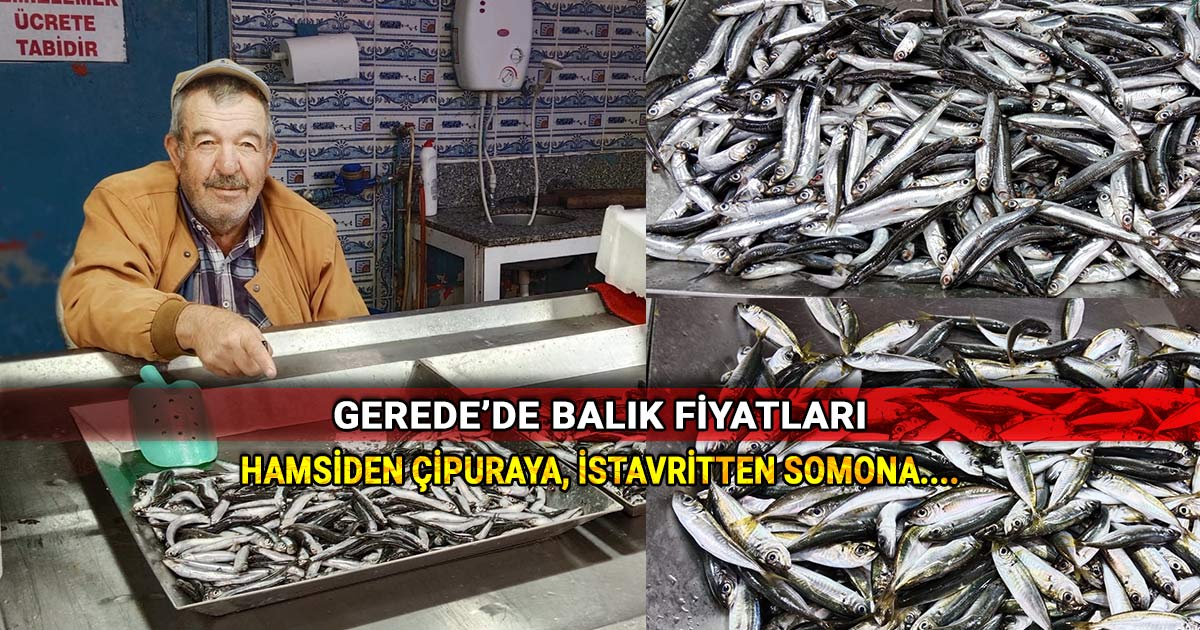 Gerede'de balık fiyatları: Karadeniz hamsiden çipuraya en güncel fiyatlar