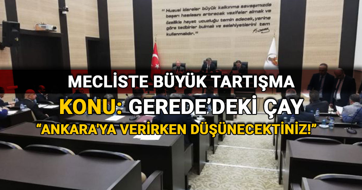 Gerede deki cay mecliste tartisildi 1