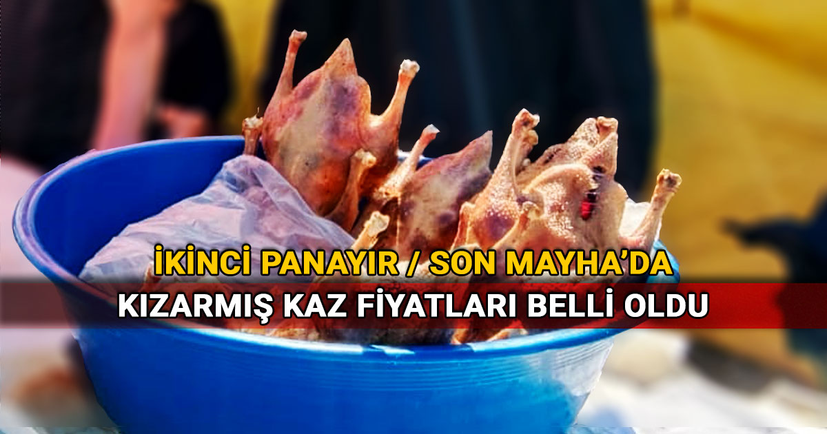 Gerede ikinci panayir kaz fiyatlari belli oldu 2023