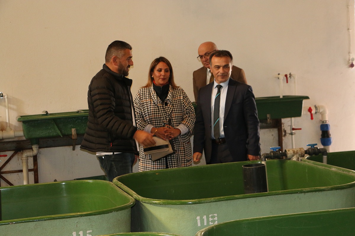 müdür balık 1