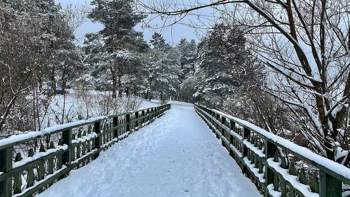 Abant Gölü Milli Parkı - Bolu