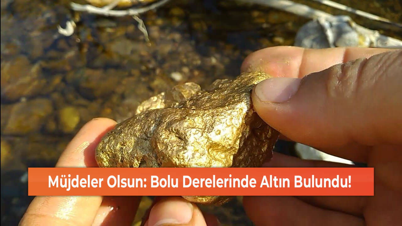 Müjdeler Olsun: Bolu Derelerinde Altın Bulundu!