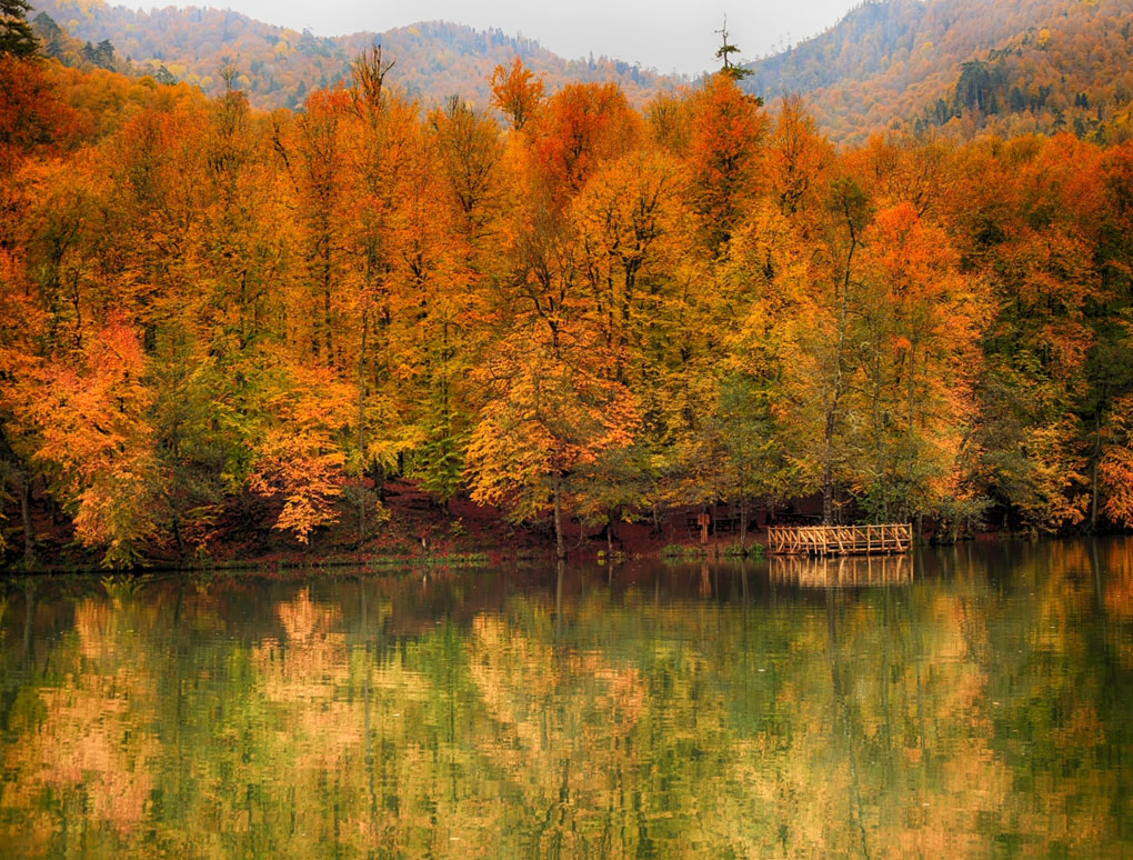 Yedigoller milli parki Bolu