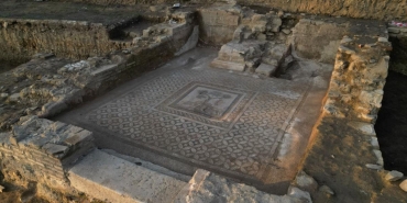 bir cam agacina bakan iki aslan duzcede bulundu YwTgPcbu.jpg