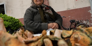 bolu sabriye cihat 4