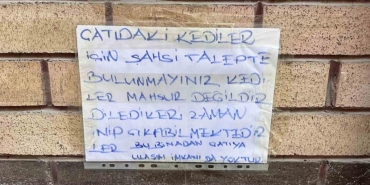eskisehir bir garip kedi vakasi zGyVBzWZ.jpg