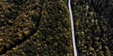 essiz sonbahar manzarasinda yolculuk cmLgAUw9.jpg