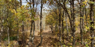 geredenin yani basinda renk cumbusu sonbaharda bir baska guzel m7E8Z7EU.jpg