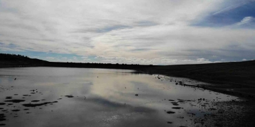 iste eskisehirin kartpostallik goruntuleri angut kuslari SIsbUdni.jpg