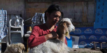 onlarca hayvanla anne sefkatiyle ilgileniyor bVylFHqc.jpg