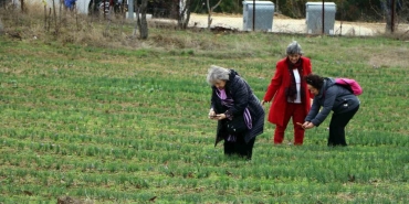 safranin buyulu dunyasi 70 bin kisi ziyaret etti dsmt9HyW.jpg