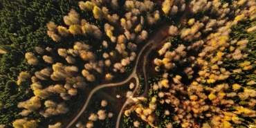 sakaryada essiz manzara ve bol oksijen keyfi acelle yaylasi htveASPA.jpg