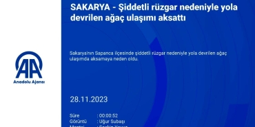 sakaryada ruzgarin etkisi yola devrilen agac ulasimi felc etti HQn5kUF1.jpg