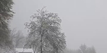 sakaryanin yuksek kesimleri beyaza burundu 8h7j2SHy.jpg