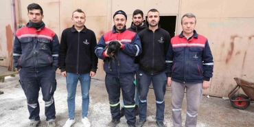 sokak kopeklerinin elinden kurtarilmisti simdi belediyenin maskotu oldu 4I6glzBV.jpg