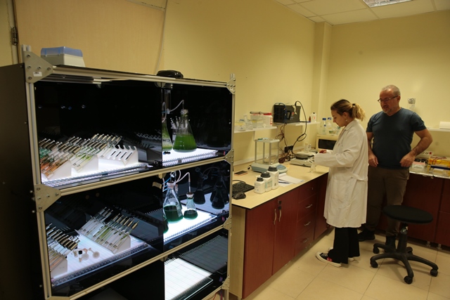 TÜBİTAK destekli projeyle mürekkep balığı ve alg pigmentlerinden güneş kremi üretilecek