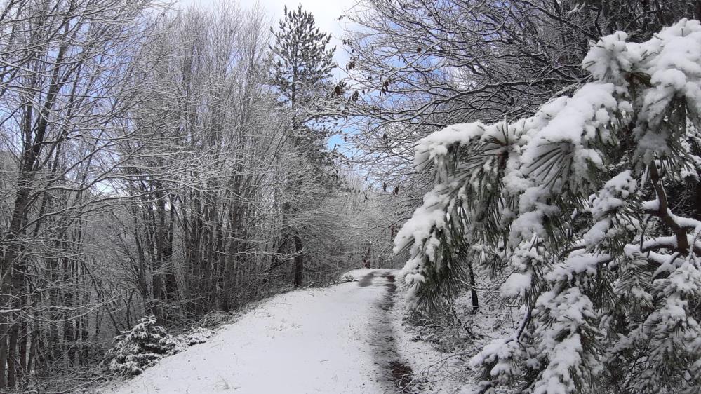 Bolu Abant 2