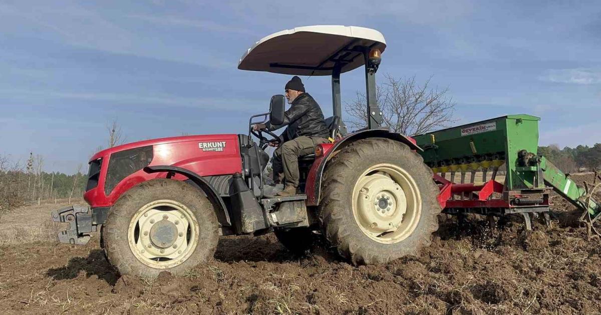 binlerce yillik bugday kastamonuda toprakla bulustu wnme42bP.jpg