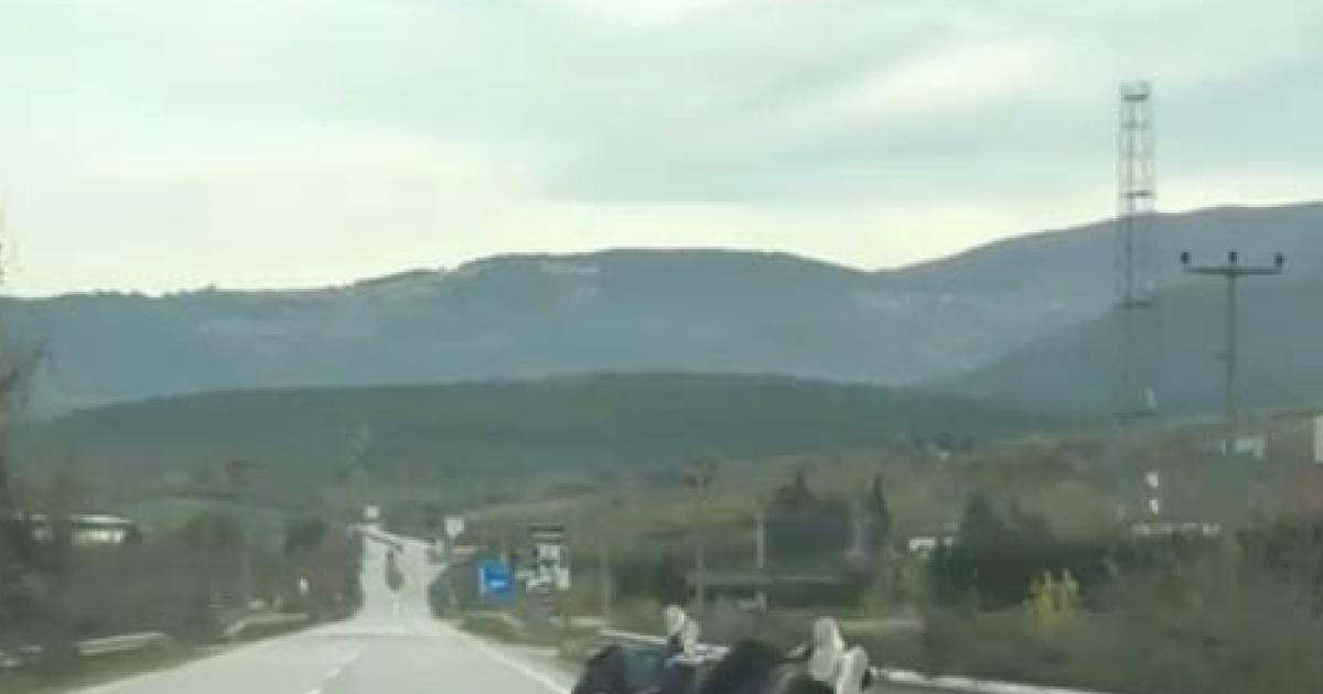 sakaryadan sok goruntuler olumle dans ettiler cVYd18ud.jpg