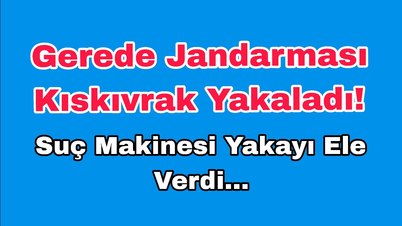 Gerede Jandarması Kıskıvrak Yakaladı