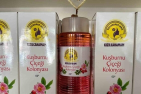 ankara kizilcahamamda bir ilk piyasaya suruldu skRx4cxl.jpg