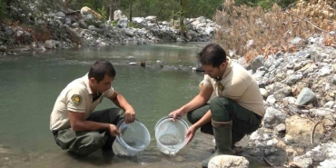 bir yilda milyonlarca balik salindi kEthVxEt.jpg