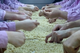 duzceden avrupaya yolculuk milyonlarca ton ihrac edildi KhhJZXi3.jpg