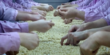 duzceden avrupaya yolculuk milyonlarca ton ihrac edildi KhhJZXi3.jpg