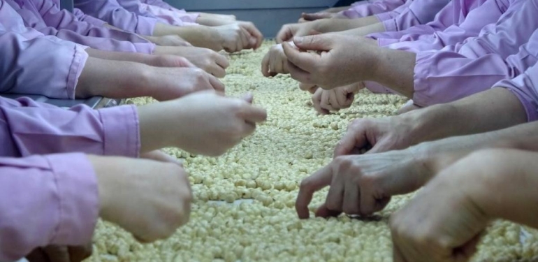 Düzce’den Avrupa’ya Yolculuk: Milyonlarca Ton İhraç Edildi