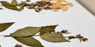 duzceden kirmizi alarm uyarisi carpici gercekleri ortaya koyan bir calisma VKMH8u74.jpg