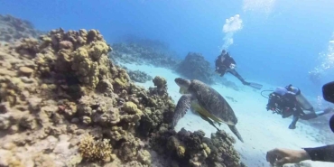 eskisehirden ciktilar yola misirda verdiler mola TpWSaDEV.jpg