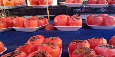 eskisehirin cennet hurmasi yaz kis taptaze jMbWBGe8.jpg