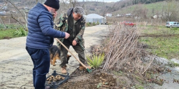 kis aylarinin vazgecilmezi yer elmasi zonguldakta hasadi basladi VihGGHQy.jpg