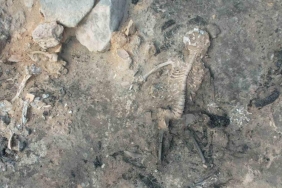 turkiyenin en onemli arkeolojik kesfi tavsanli hoyukun derinliklerindeki sirlar atNbyutJ.jpg