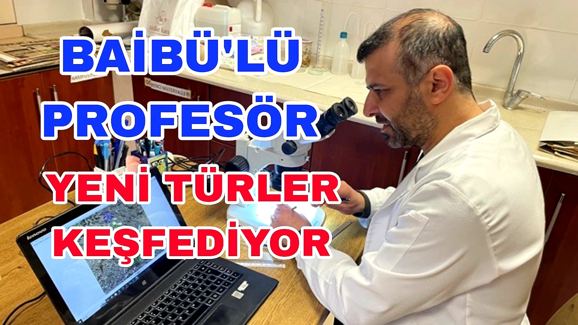 BAİBÜlü Profesör Yeni Türler Keşfediyor