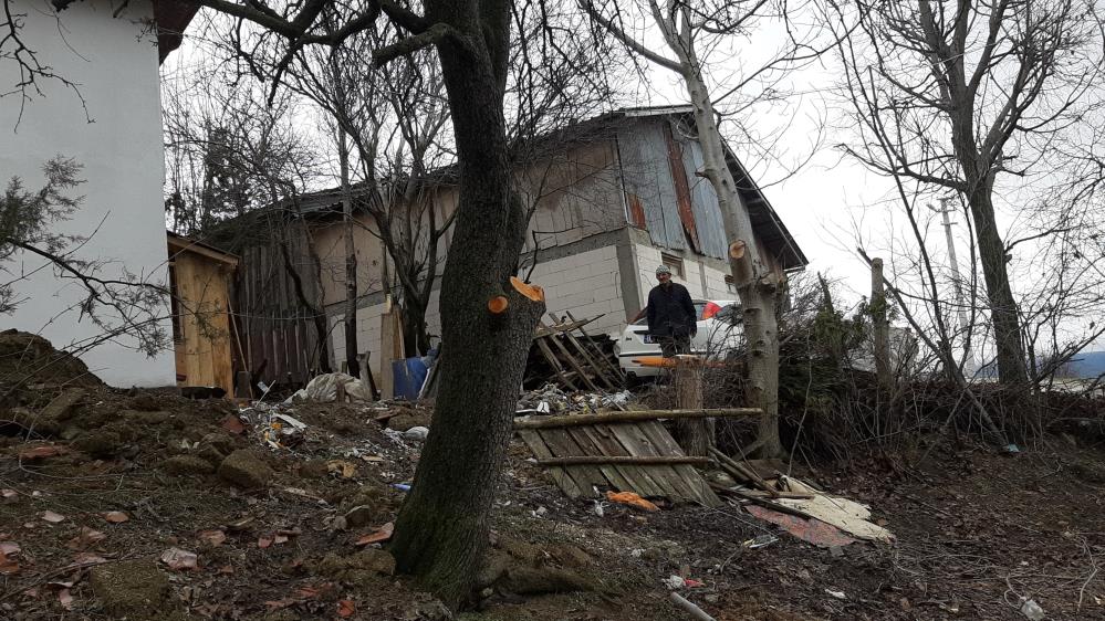 Bolu'da Ağaç Budarken Yaralanan Vatandaş