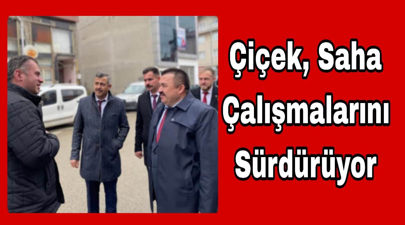 Çiçek Saha Çalışmalarını Sürdürüyor