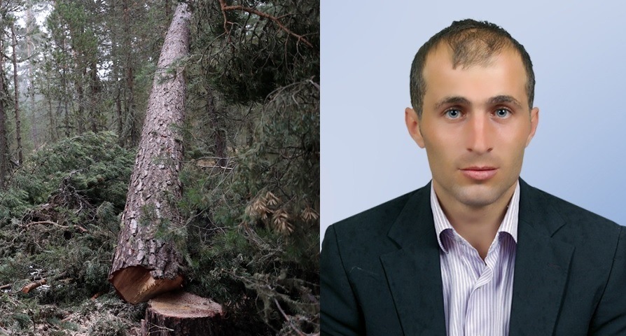 Kastamonu'da Kestiği Ağacın Altında Kalan İşçi Vefat Etti